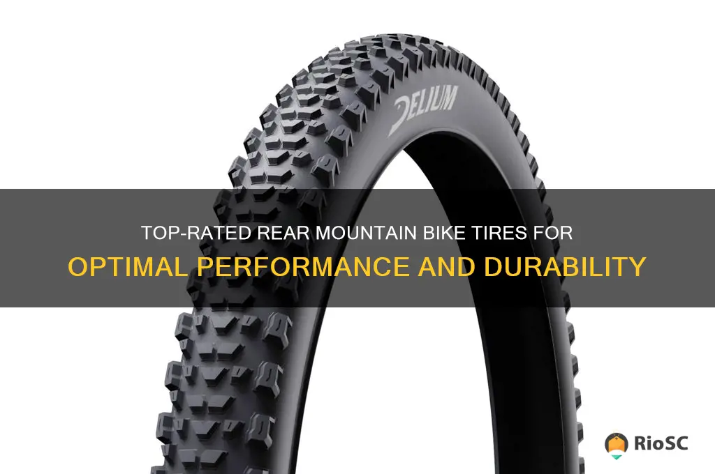 best rear mountain bike tires