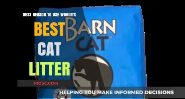 Why World's Best Cat Litter is the Ultimate Choice for Your Feline Friend