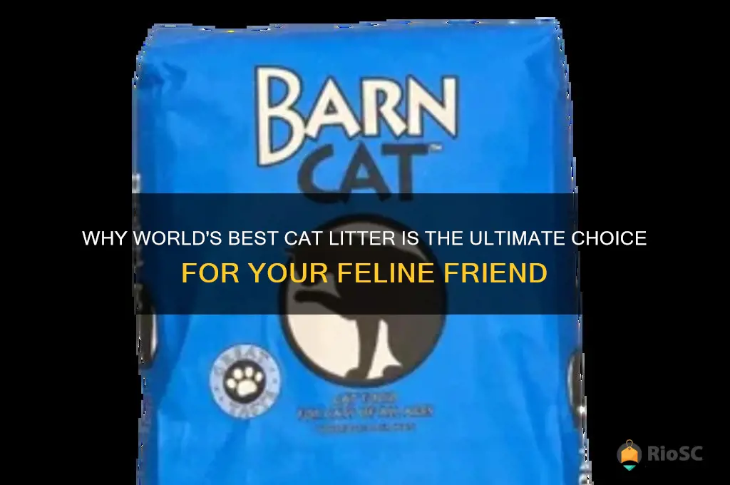 best reason to use world