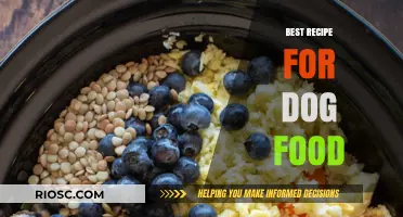 Wholesome Bites: Crafting the Perfect Homemade Dog Food Recipe