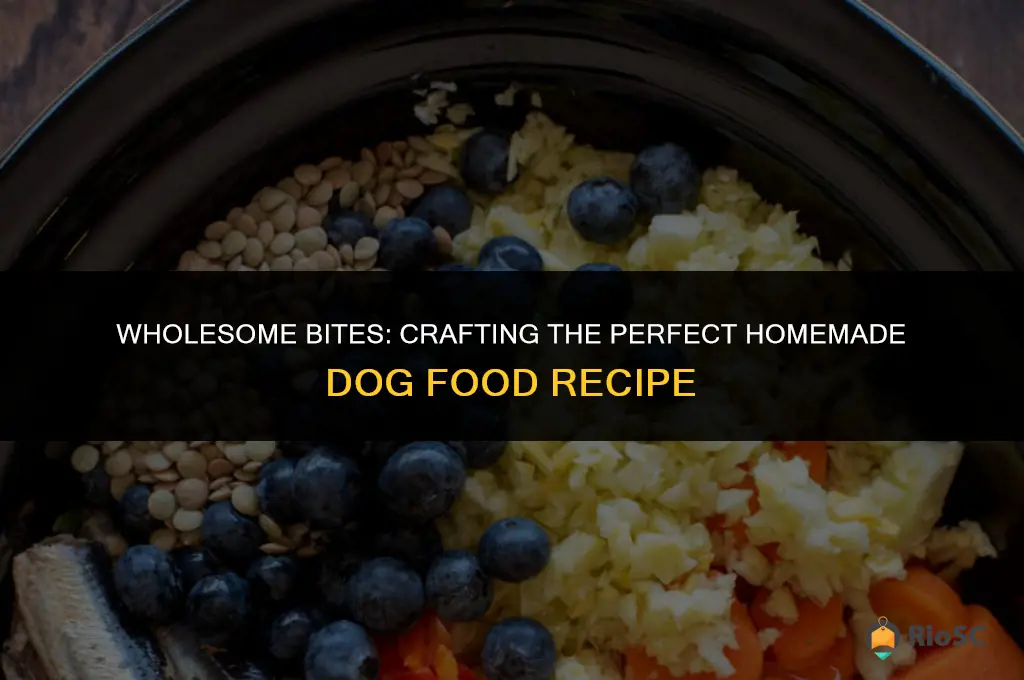 best recipe for dog food
