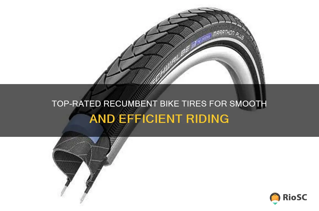 best recumbent bike tires
