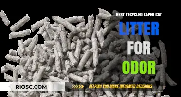 Eco-Friendly Freshness: Top Recycled Paper Cat Litter Options for Odor Control