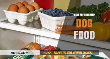 Top Picks for Your Furry Friend: The Best Refrigerated Dog Food Options