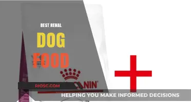 Top Renal Dog Food Options: Supporting Kidney Health for Your Canine Companion