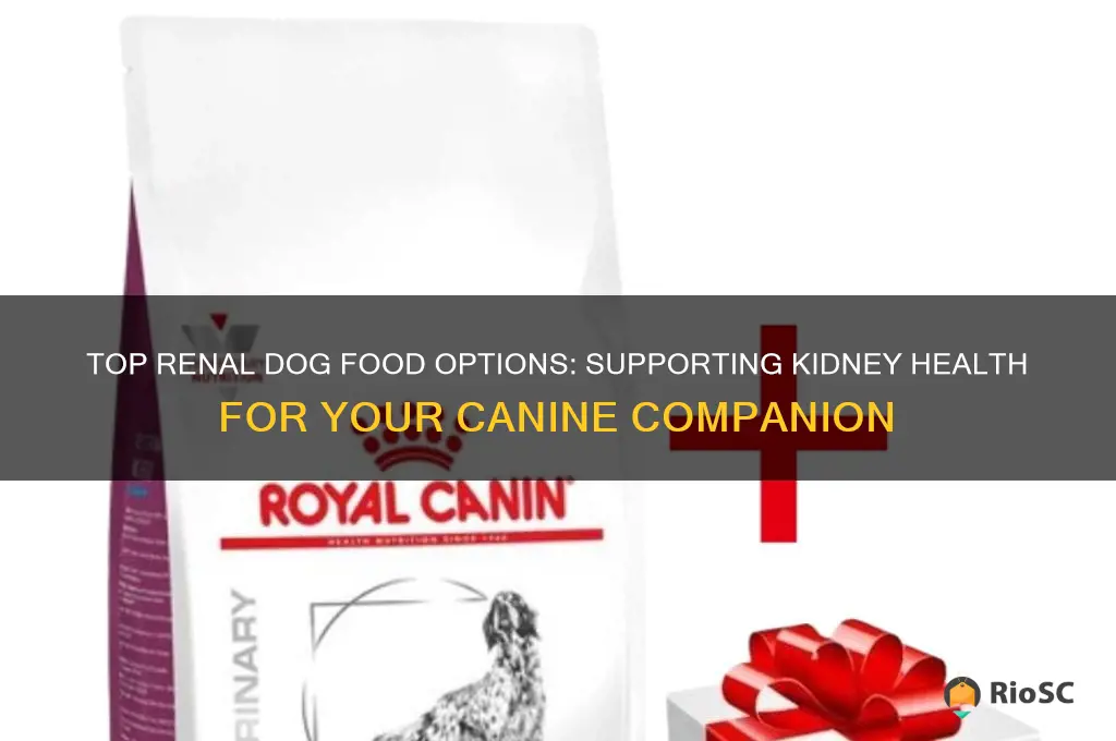 best renal dog food