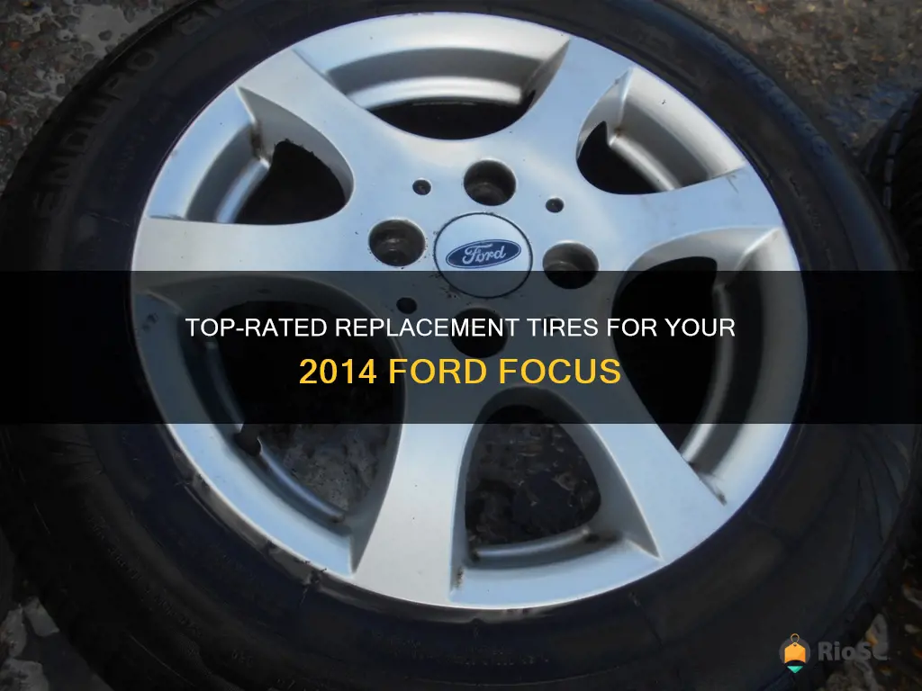 best replacement tires for 2104 ford focus