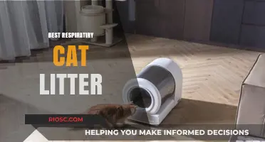 Top Respiratory-Friendly Cat Litter Options for a Healthier Home