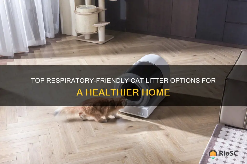 best respiratiry cat litter