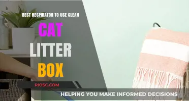 Breathing Easy: The Best Respirator for Cleaning Your Cat’s Litter Box