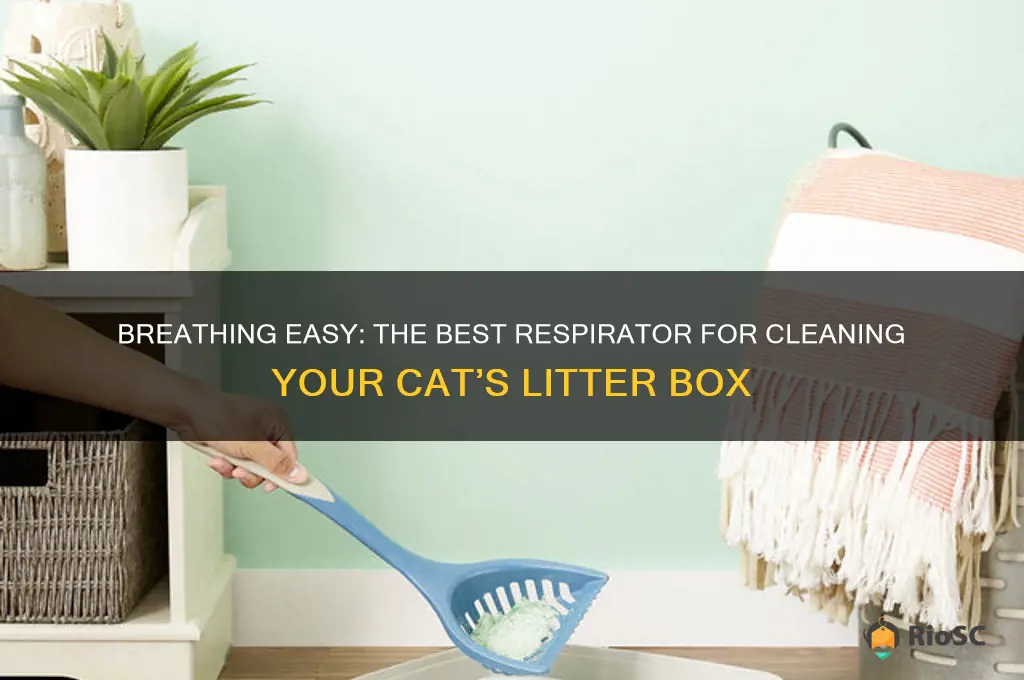 best respirator to use clean cat litter box