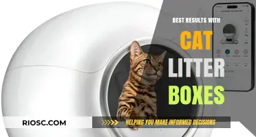 Mastering Cat Litter Boxes: Tips for Cleanliness, Odor Control, and Happy Cats