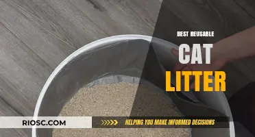 Eco-Friendly and Cost-Effective: Discover the Best Reusable Cat Litter Options for Your Feline Friend