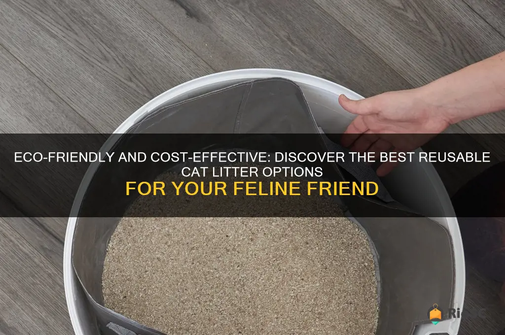 best reusable cat litter