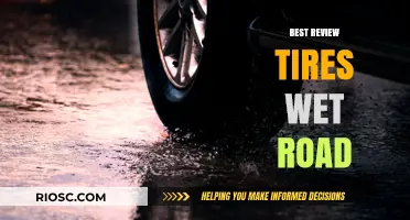 Top-Rated Tires for Superior Wet Road Performance: Expert Reviews and Recommendations