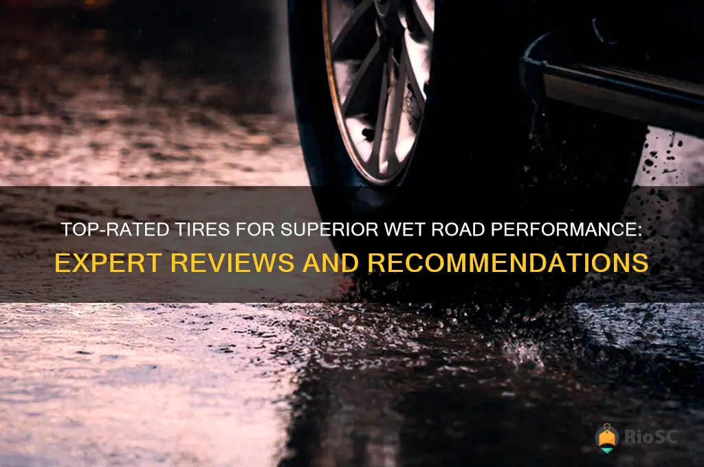 best review tires wet road