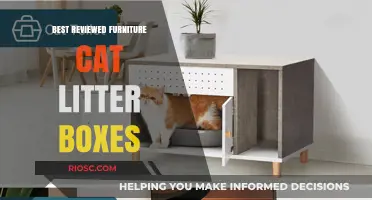 Top-Rated Furniture Cat Litter Boxes: Stylish Solutions for Odor-Free Living