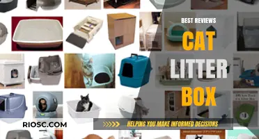 Top-Rated Cat Litter Boxes: Expert Reviews for the Best Options