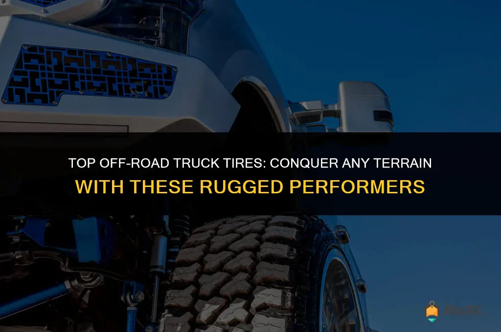best riding off-road tires for trucks