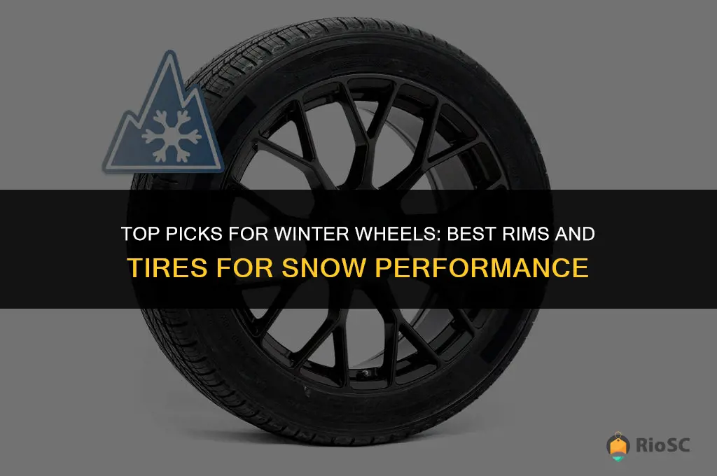best rims and tires for snow