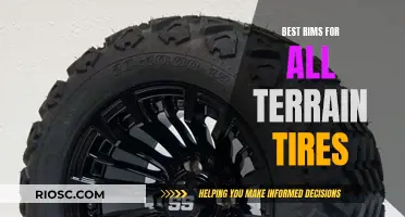 Rugged Rims: Choosing the Best Wheels for All-Terrain Tires