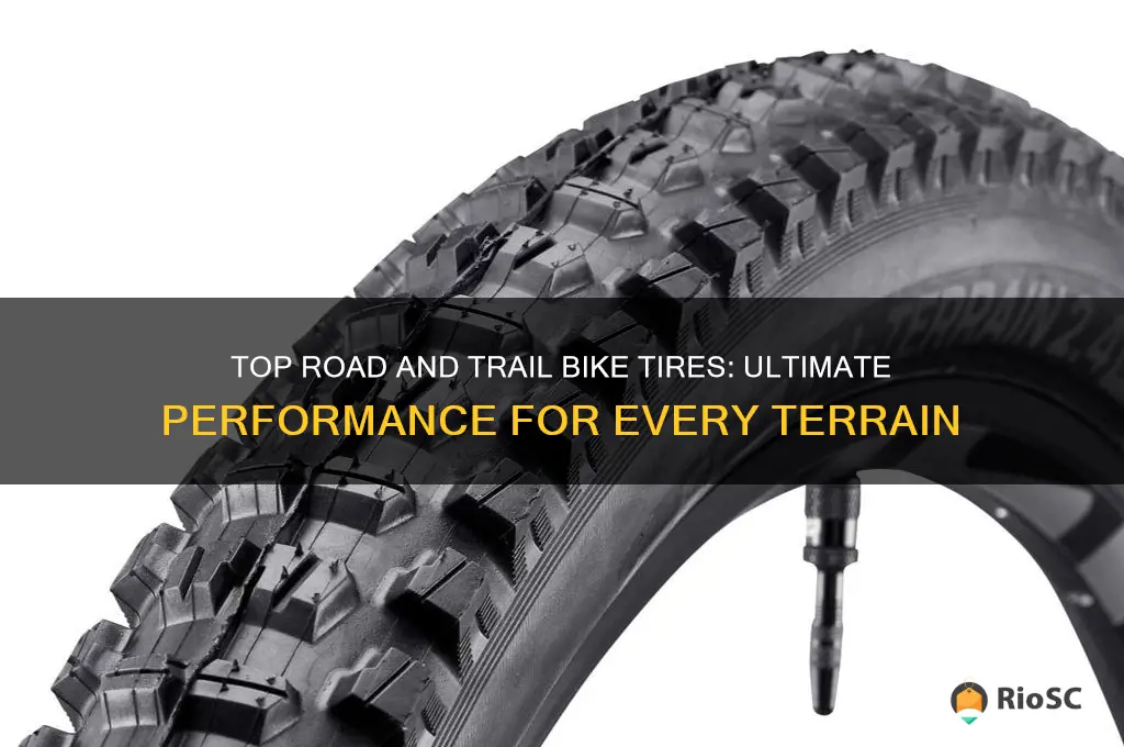 best road and trail bike tires