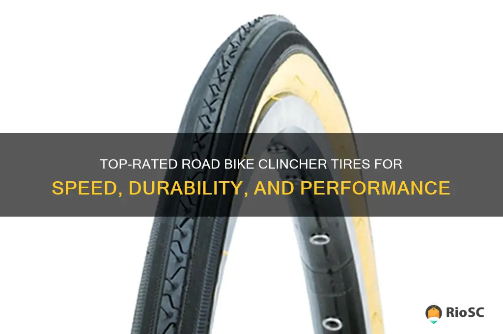best road bike clincher tires