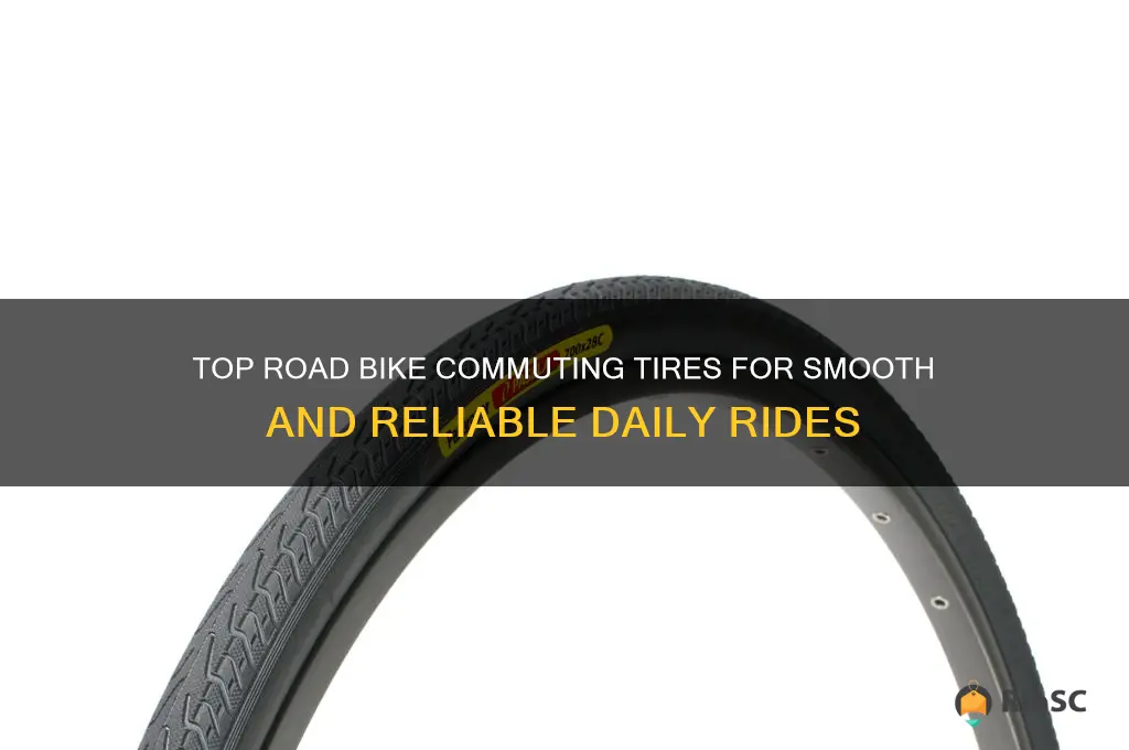 best road bike commuting tires