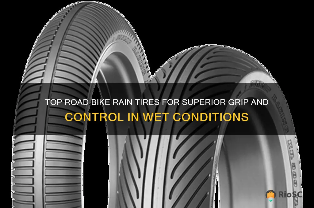 best road bike rain tires