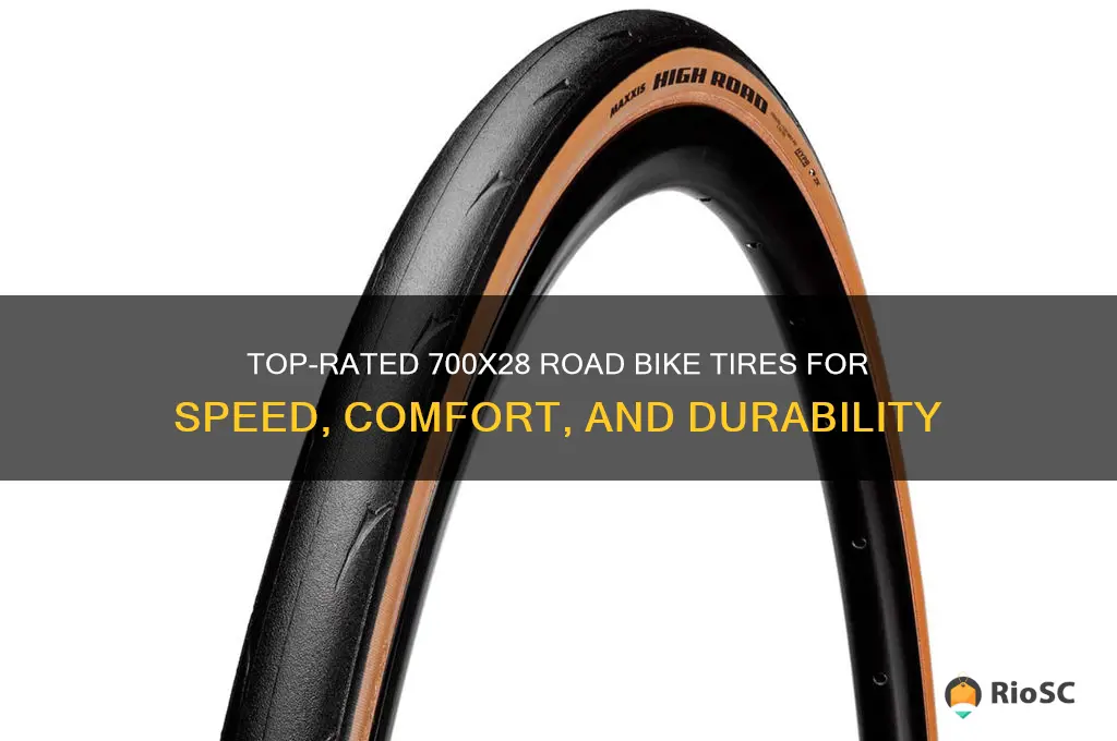 best road bike tires 700x28