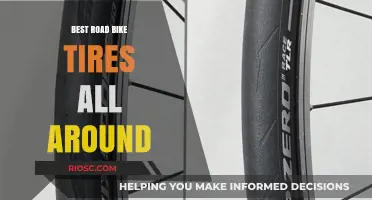 Top All-Around Road Bike Tires for Performance, Durability, and Comfort