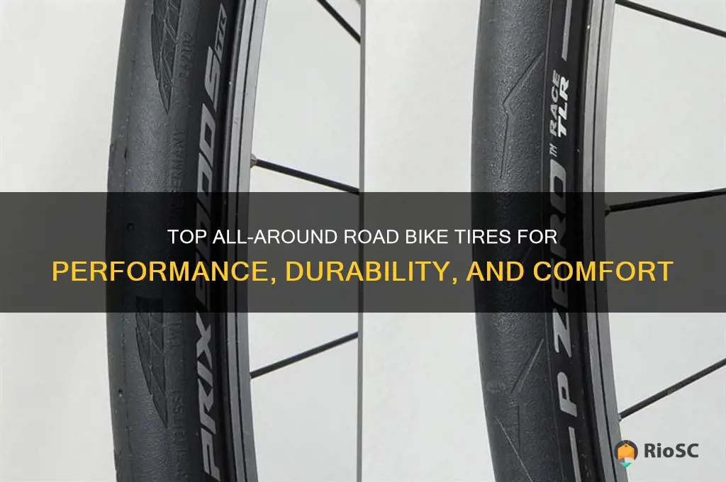 best road bike tires all around