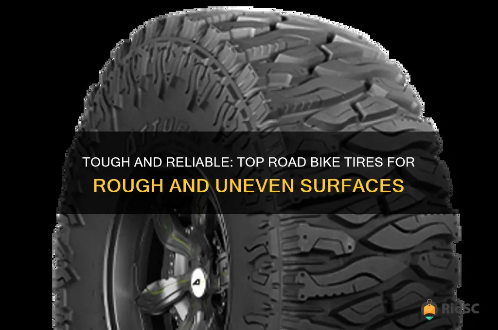 best road bike tires for bad roads