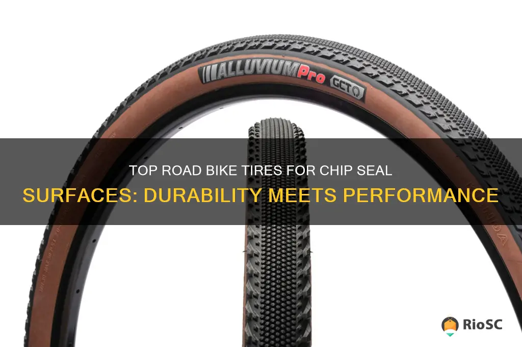best road bike tires for chip seal
