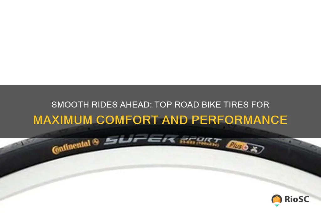 best road bike tires for comfort