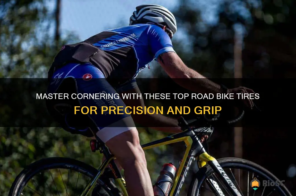 best road bike tires for cornering
