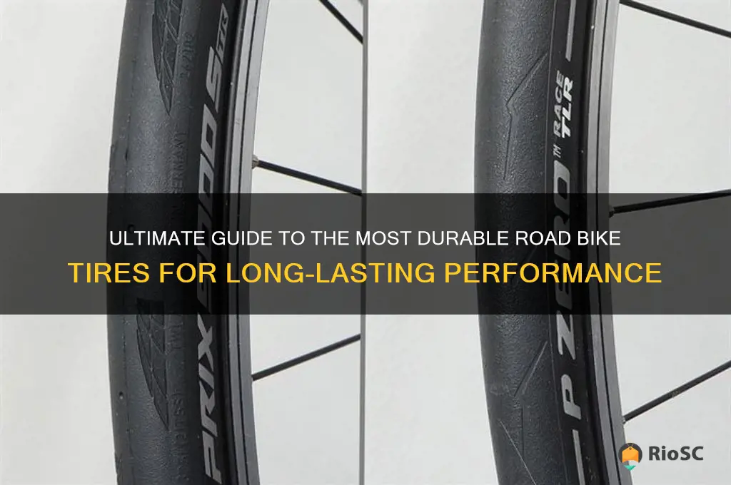best road bike tires for durability
