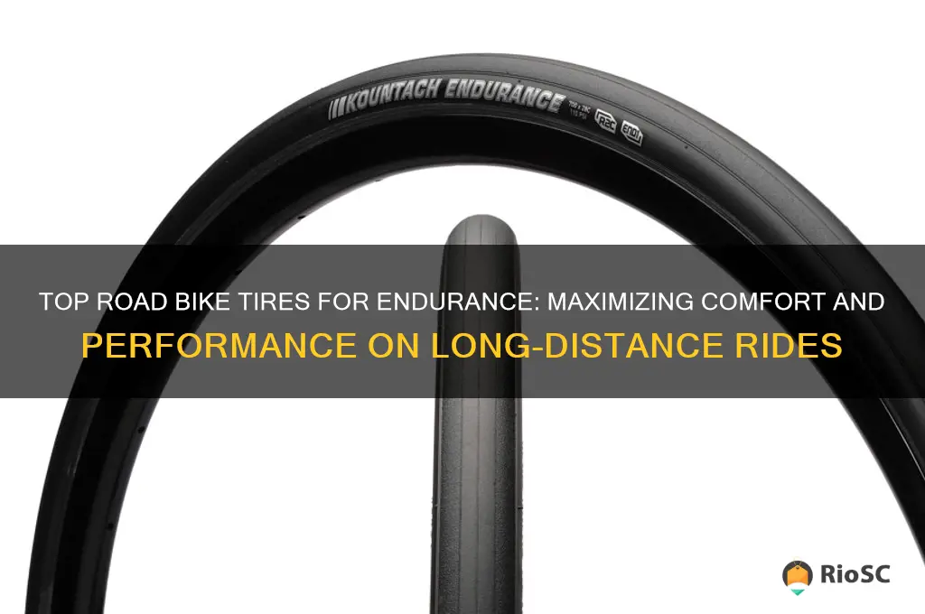 best road bike tires for long distance riding