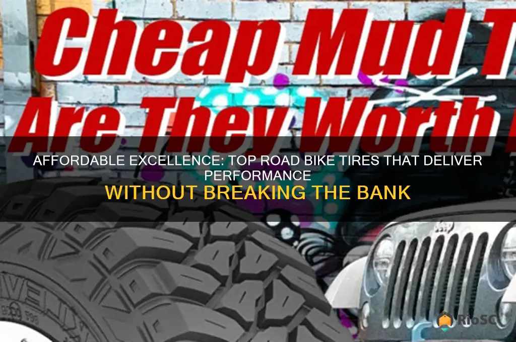 best road bike tires for price