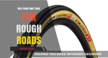 Tough Terrain, Smooth Ride: Top Road Bike Tires for Rough Roads
