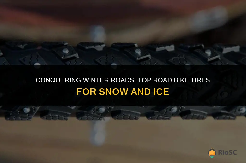 best road bike tires for snow