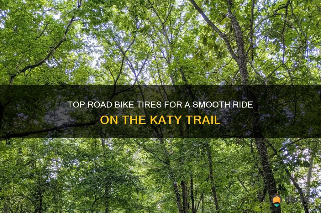 best road bike tires for the katy trail