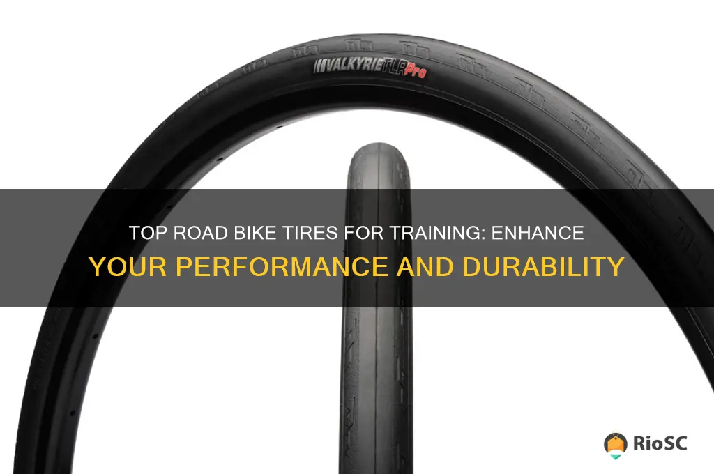 best road bike tires for training