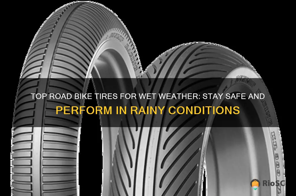 best road bike tires for wet conditions