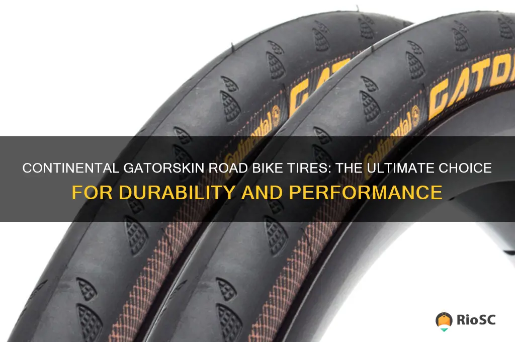 best road bike tires gatorskin
