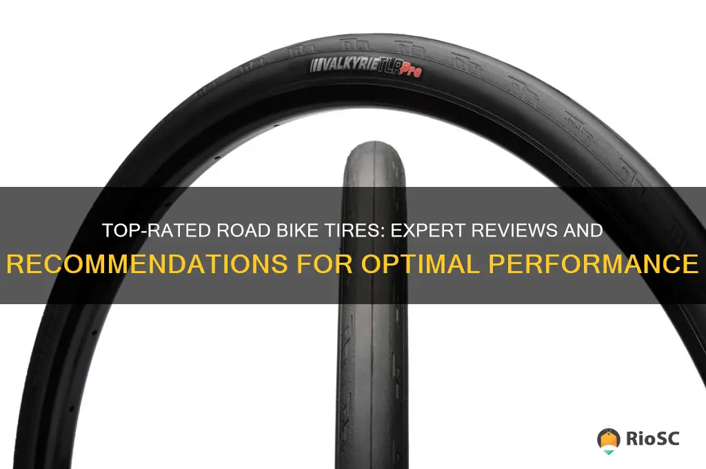best road bike tires reviews
