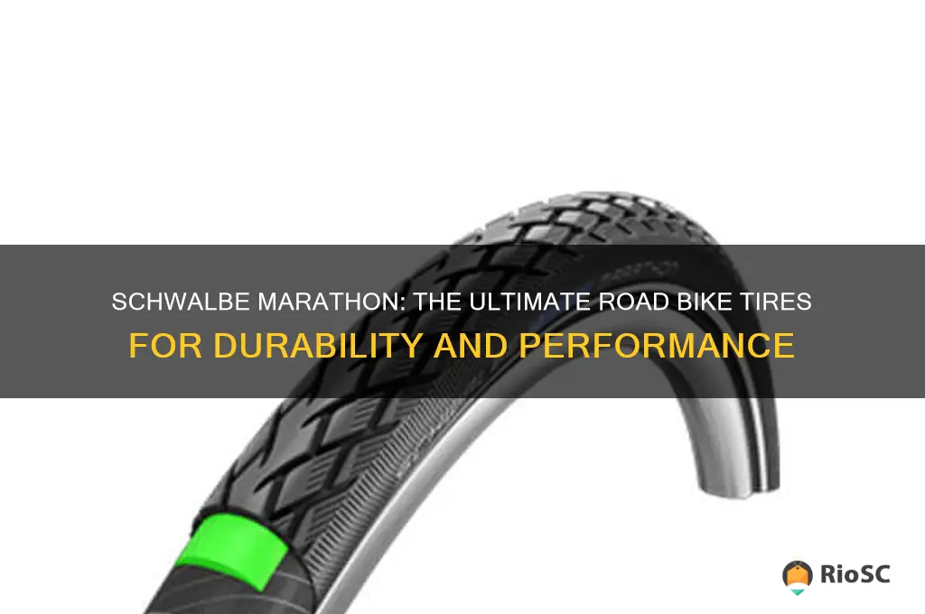 best road bike tires schwalbe marathon