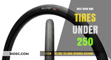 Top-Rated Road Bike Tires: Premium Performance for Under $250