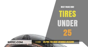 Affordable Performance: Top Road Bike Tires Under $25