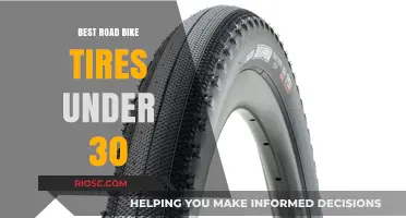 Affordable Performance: Top Road Bike Tires Under $30